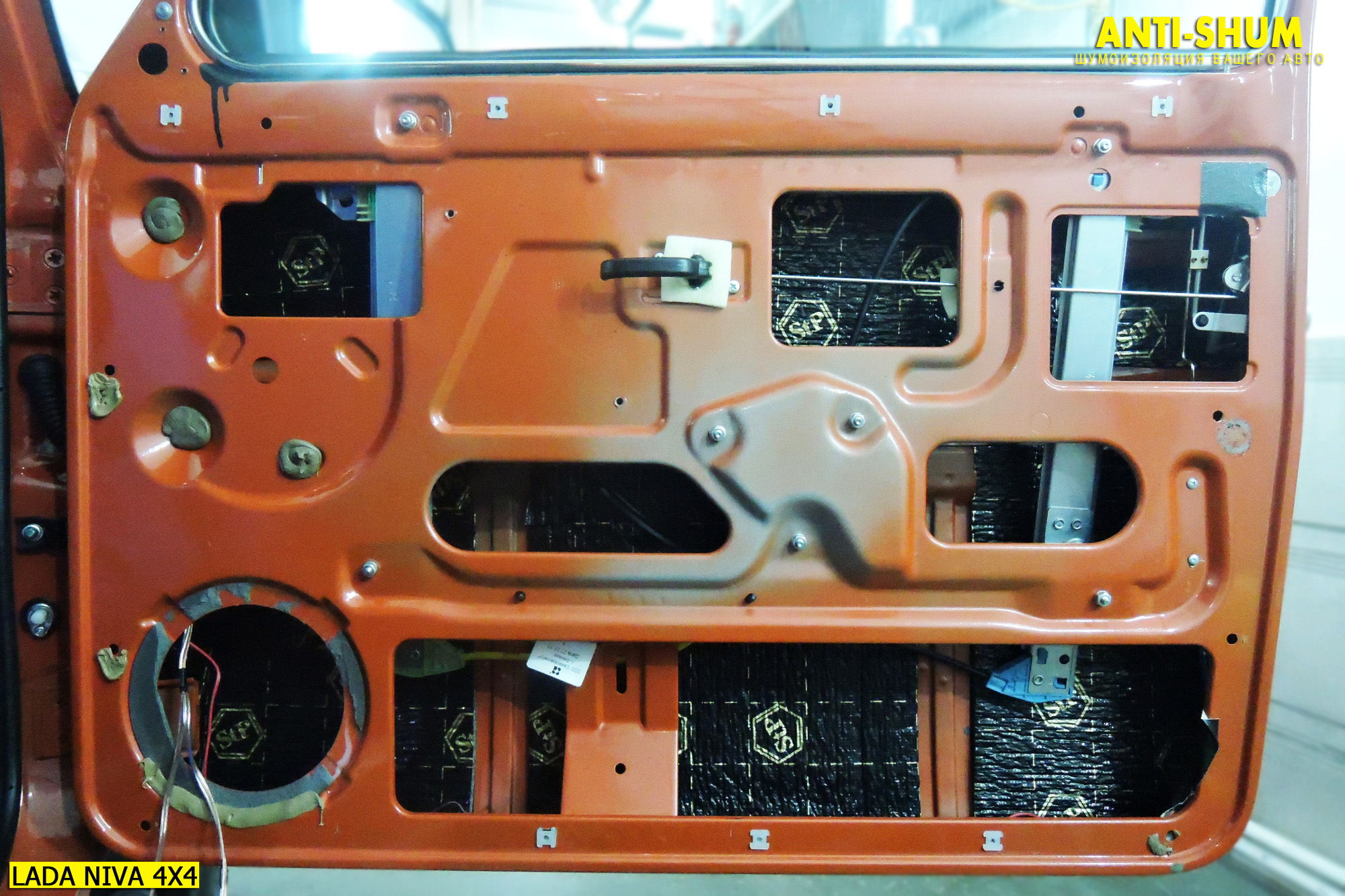 Транссексуал және тай Ольга Арнтгольц жопаға сиып кетеді